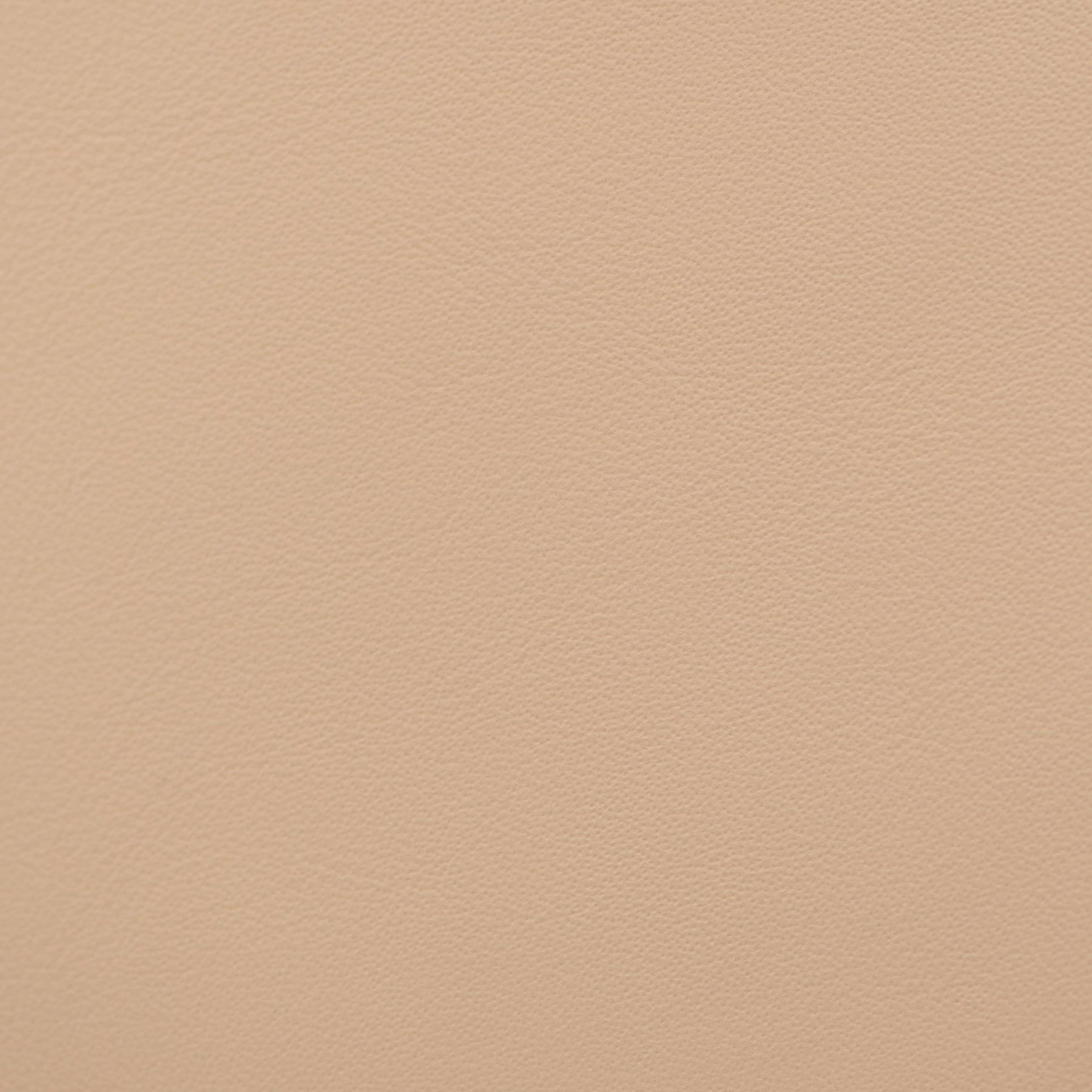 Nappa Grain - Ferrari Crema – Universal Upholstery Supply